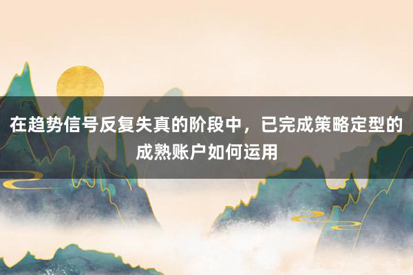 在趋势信号反复失真的阶段中，已完成策略定型的成熟账户如何运用