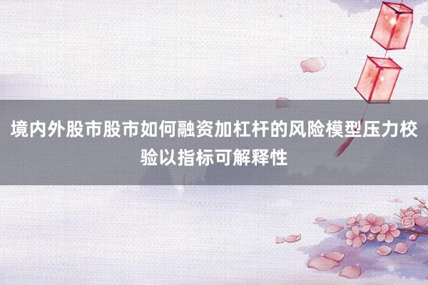 境内外股市股市如何融资加杠杆的风险模型压力校验以指标可解释性