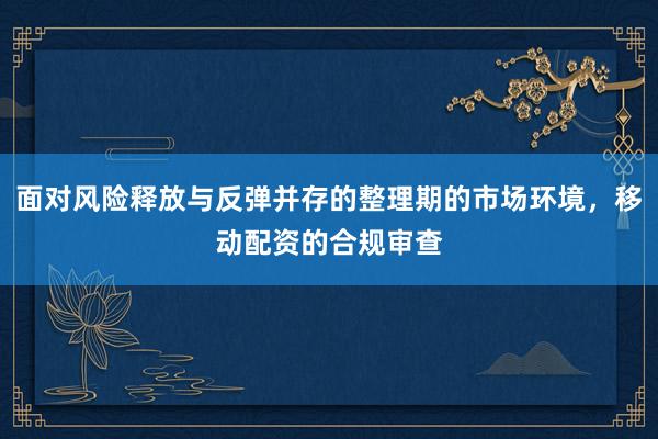 面对风险释放与反弹并存的整理期的市场环境，移动配资的合规审查