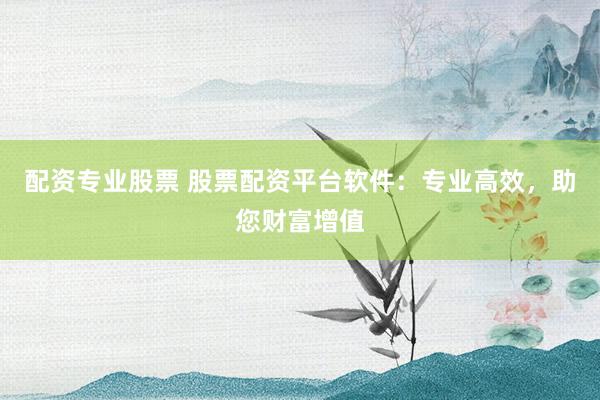 配资专业股票 股票配资平台软件：专业高效，助您财富增值